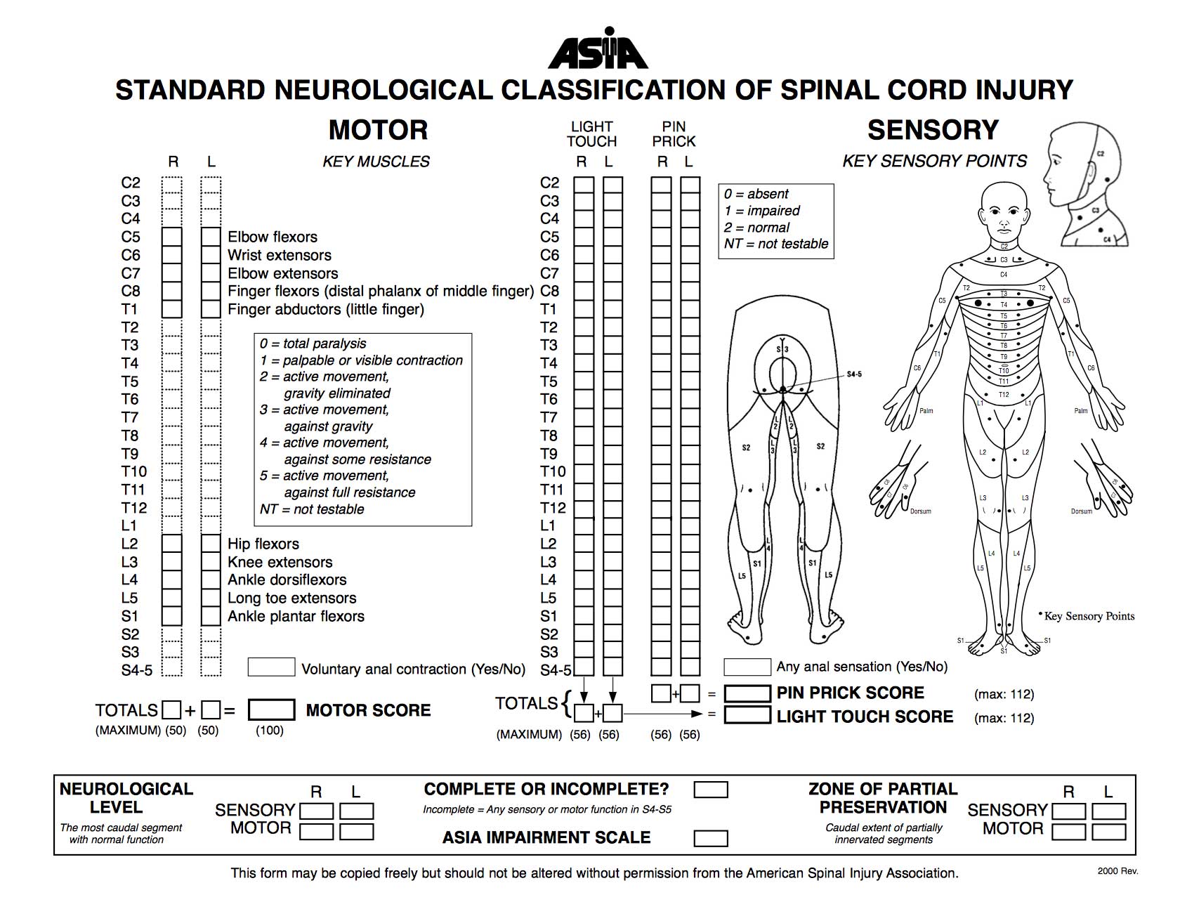 Asia Spinal Cord Injury Chart